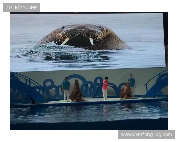 探索海洋之神590官网：畅享无尽海洋冒险的最佳平台